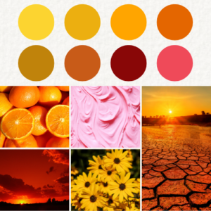 Warm Colors